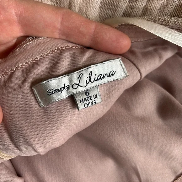 Simply Liliana Blush Pink Dress - Picture 6 of 6